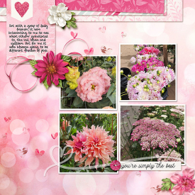 3BPink-Web.jpg