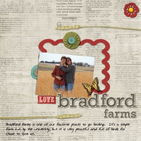 3_bradford_farms_copy.jpg