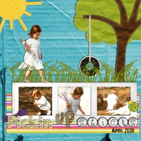 4-06-08-pickin-up-sticks.jpg
