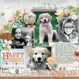 4-17A-Light-in-Our-Life-copy.jpg