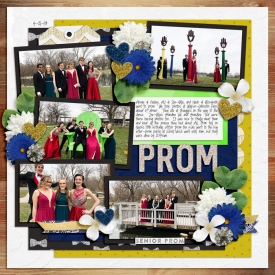 4-18-700AJ-Prom-Group-copy.jpg