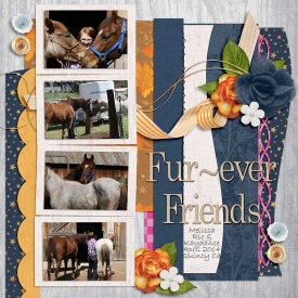 4-2014fureverfriendsPOST.jpg