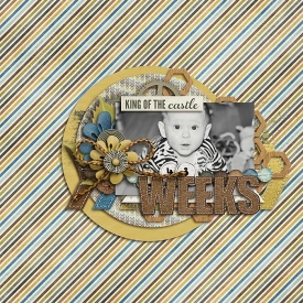 43Weeks-700.jpg