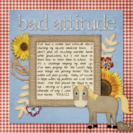 4_bad_attitude_copy.jpg