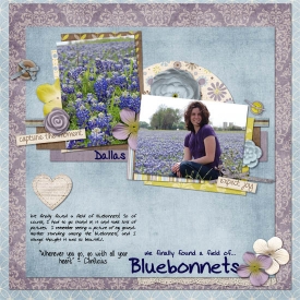 4_bluebonnets_copy.jpg