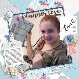 5-17-700Planner-copy.jpg