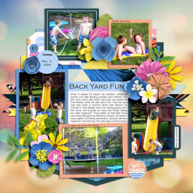 5-2004-Backyard-Fun-copy.jpg