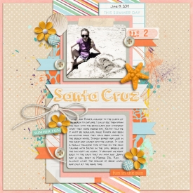 6-14-700Santa-Cruz-Beach-copy.jpg