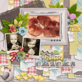 6-little-chicks.jpg
