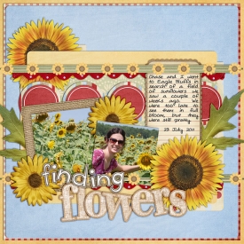 7-23-sunflowers.jpg