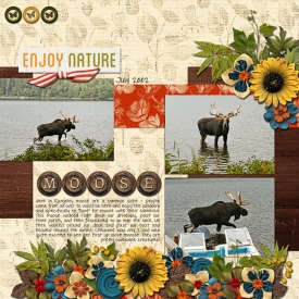 7_2002_Moose_web.jpg