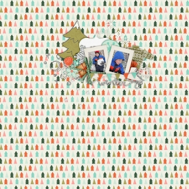 96.jpg