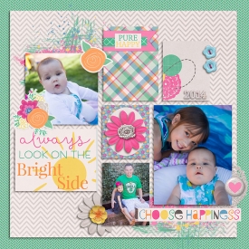 AS-FEB2014-brightside.jpg