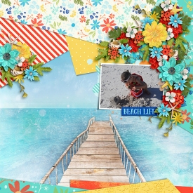 AS_-Sunshine-_HSA-bold-background-2-B-copy.jpg