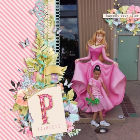 AS_SF---BIM-Princess-Fair-_LK-Family-Portrait_-copy.jpg