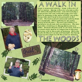 A_walk_in_the_woods_web.jpg