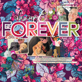 Always_Forever_web.jpg