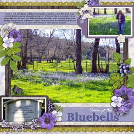 Amongst-the-BluebellsWeb.jpg