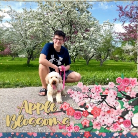 Apple_Blossoms_web.jpg