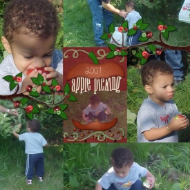 Apple_Picking.jpg