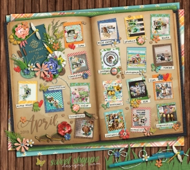 Apr2019_passportfinished-copy.jpg