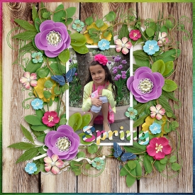 April-2017-Challenge-DBD---one-derful-2-copy.jpg
