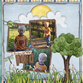 Around-the-Pond.jpg