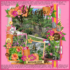 August_11-_Garden.jpg