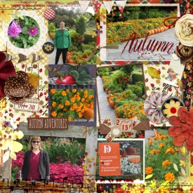 Autumn-October-2018.jpg