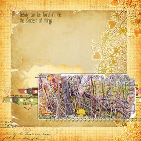 Autumn_Light_copy.jpg