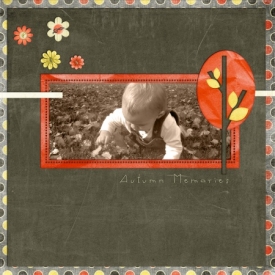 Autumn_Memories_copy.jpg