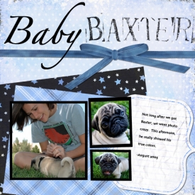 BabyBaxter_web.jpg