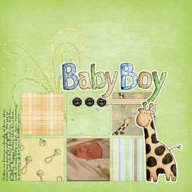 Baby_Boy_Rhett_080607.jpg