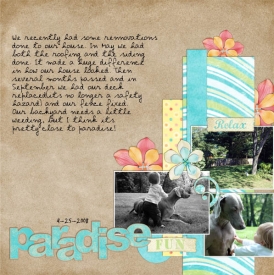 Backyard_fun_pg1_.jpg