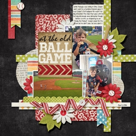 BaseballAug2016Web.jpg