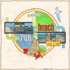 Beach_Fun_Custom_.jpg