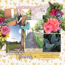 Beautiful_Flowers_Uruguay_March_20_2019_smaller.jpg