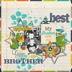 BestBrothersSSDSB700.jpg