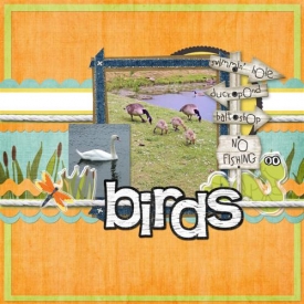 Birds_Custom_.jpg