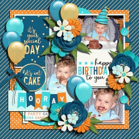 Birthday_boy_DSI_Feb_2_TD_-_Ella.jpg