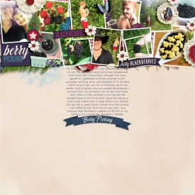 Blackberry-Picking-WEB.jpg