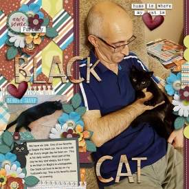 Blackcat.jpg