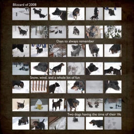 Blizzard-2008-Snapshots.jpg