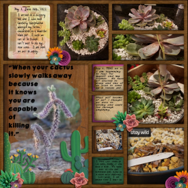 Blog2022_Deathofanotherplant_700x700_.jpg