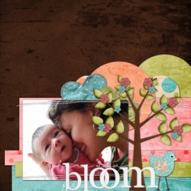 Bloom5.jpg