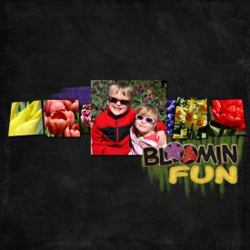 BloominFunLow.jpg