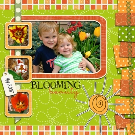 BloomingBeautyLow.jpg