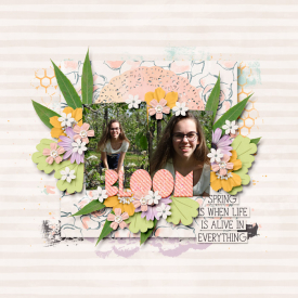 Bloomweb5.jpg