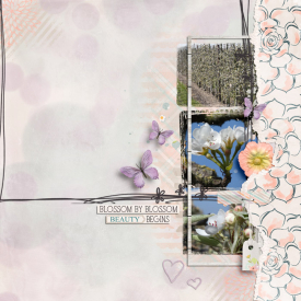BlossomByBlossomweb.jpg