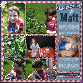 Blueberries-for-Matt-August-2018-Bingo-_14.jpg
